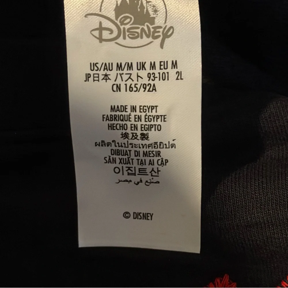 Disney Parks Disneyland Plaid Classic Logo Oversized Sweatshirt NWT